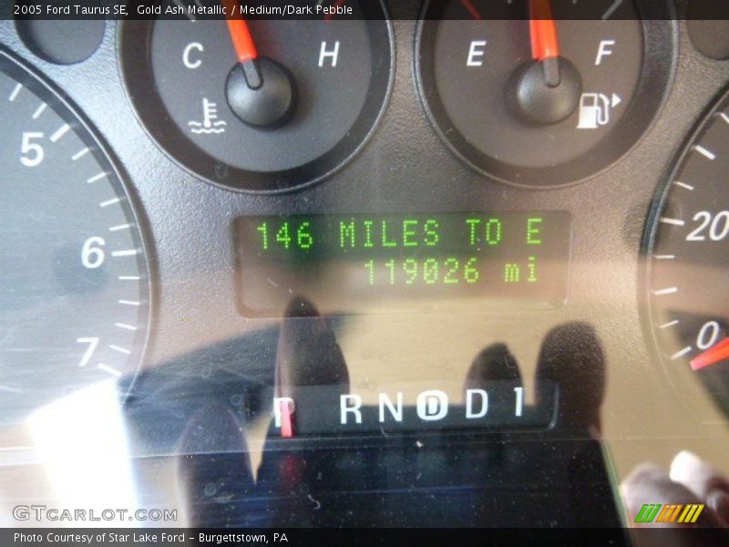 Gold Ash Metallic / Medium/Dark Pebble 2005 Ford Taurus SE