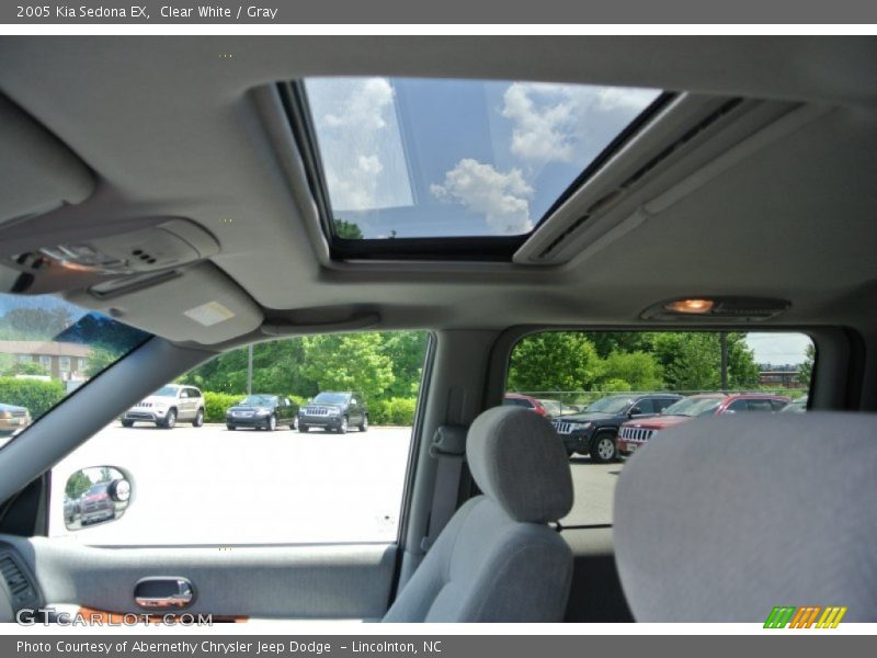 Clear White / Gray 2005 Kia Sedona EX