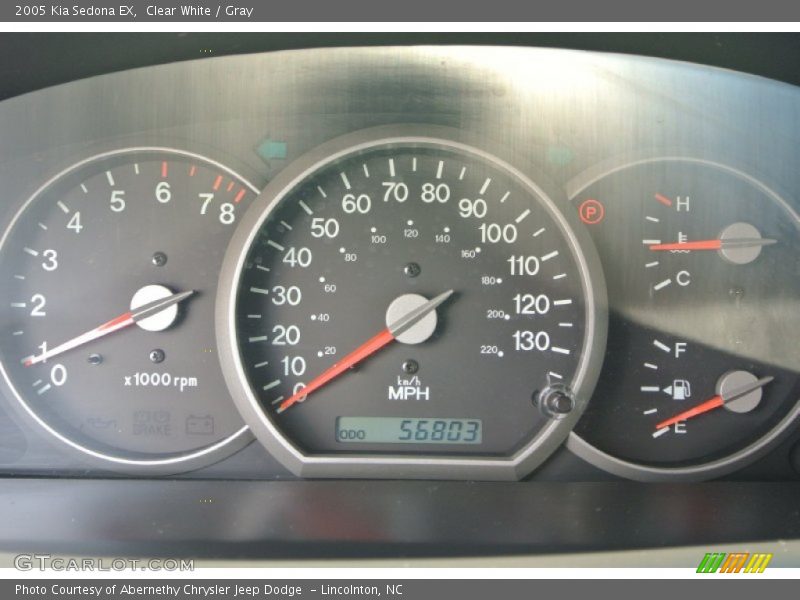 Clear White / Gray 2005 Kia Sedona EX