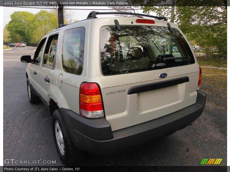 Gold Ash Metallic / Medium Dark Pebble 2003 Ford Escape XLS V6 4WD