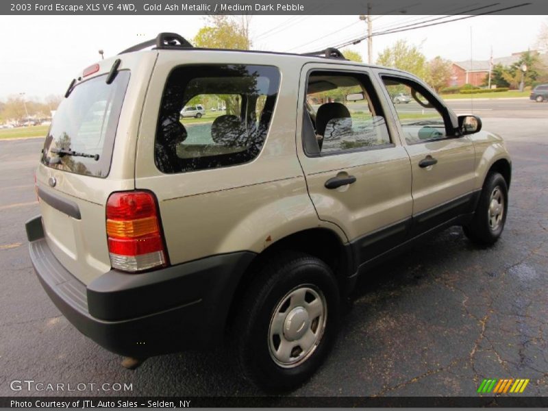 Gold Ash Metallic / Medium Dark Pebble 2003 Ford Escape XLS V6 4WD