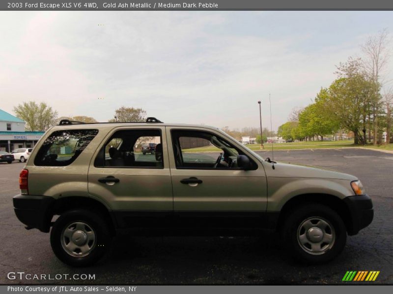 Gold Ash Metallic / Medium Dark Pebble 2003 Ford Escape XLS V6 4WD
