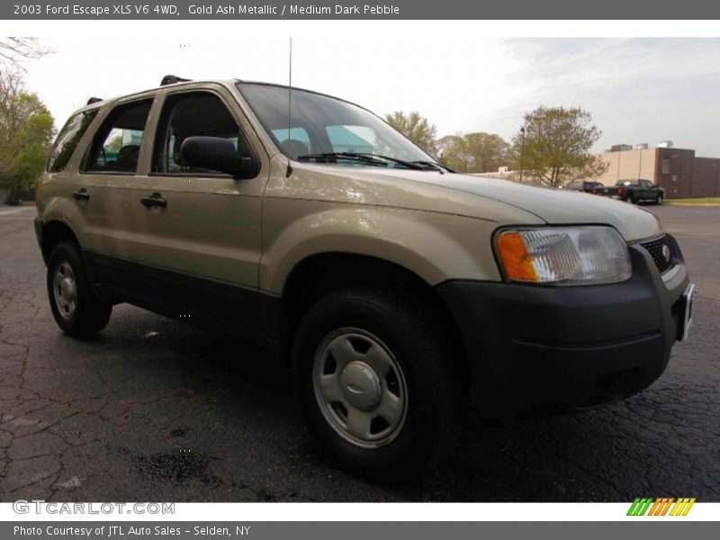 Gold Ash Metallic / Medium Dark Pebble 2003 Ford Escape XLS V6 4WD