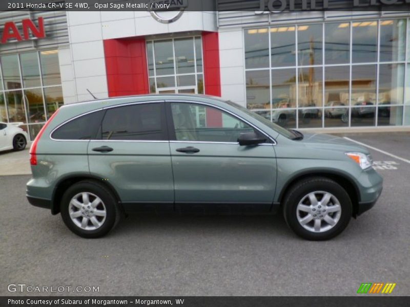 Opal Sage Metallic / Ivory 2011 Honda CR-V SE 4WD