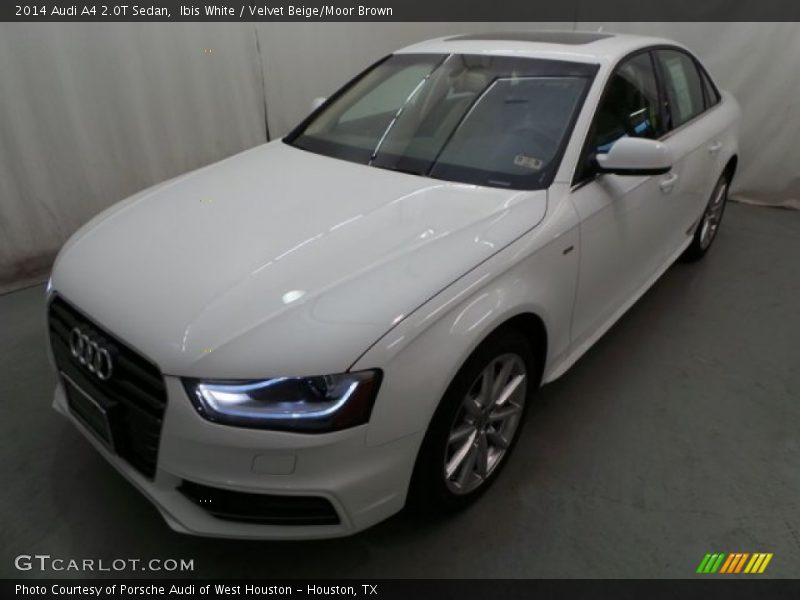 Ibis White / Velvet Beige/Moor Brown 2014 Audi A4 2.0T Sedan