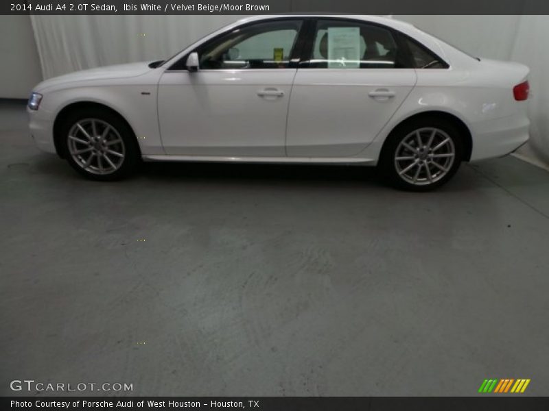 Ibis White / Velvet Beige/Moor Brown 2014 Audi A4 2.0T Sedan