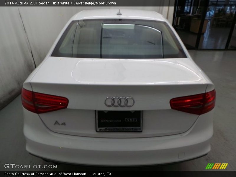 Ibis White / Velvet Beige/Moor Brown 2014 Audi A4 2.0T Sedan