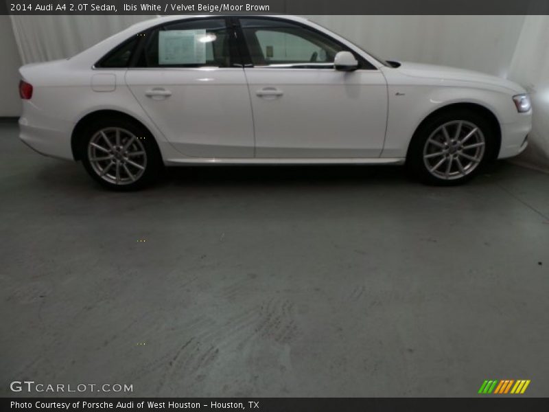 Ibis White / Velvet Beige/Moor Brown 2014 Audi A4 2.0T Sedan