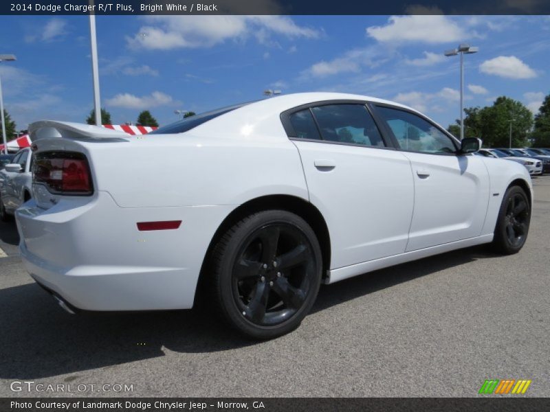 Bright White / Black 2014 Dodge Charger R/T Plus