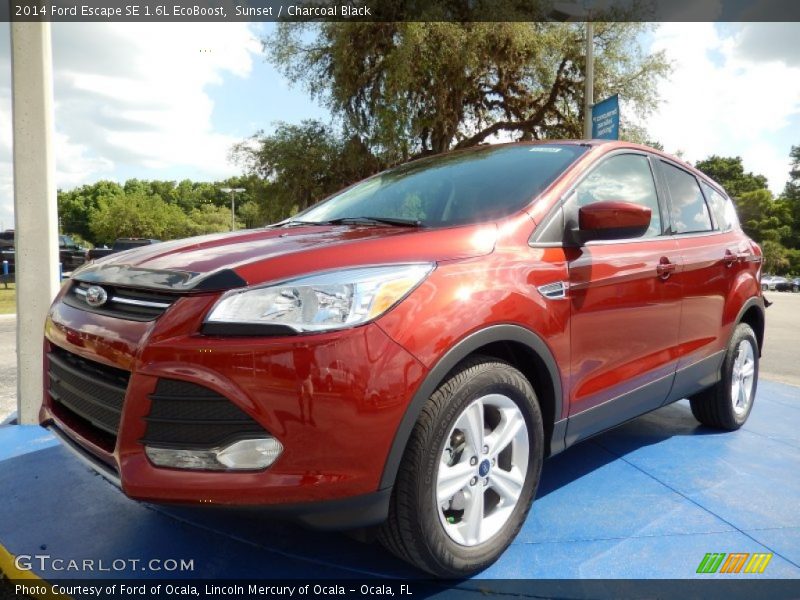 Sunset / Charcoal Black 2014 Ford Escape SE 1.6L EcoBoost