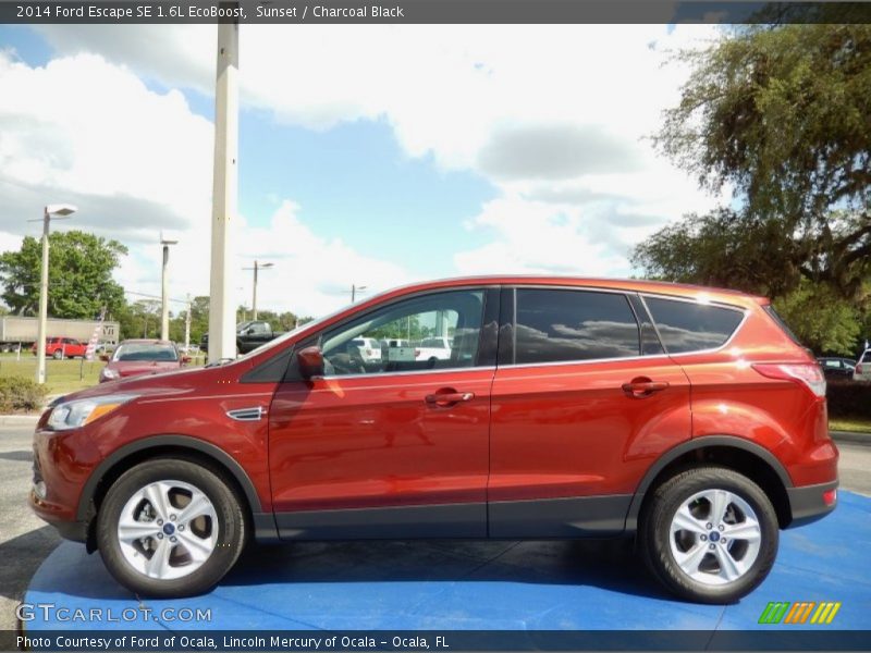 Sunset / Charcoal Black 2014 Ford Escape SE 1.6L EcoBoost