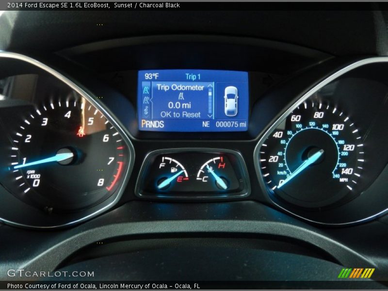 Sunset / Charcoal Black 2014 Ford Escape SE 1.6L EcoBoost