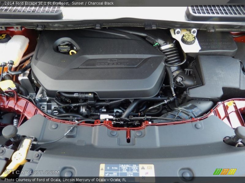 Sunset / Charcoal Black 2014 Ford Escape SE 1.6L EcoBoost