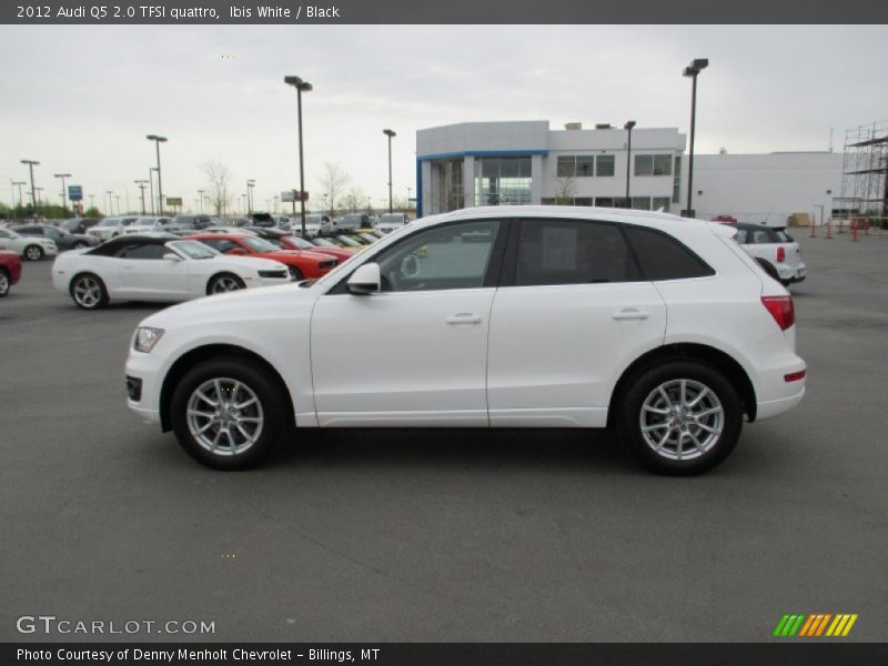 Ibis White / Black 2012 Audi Q5 2.0 TFSI quattro