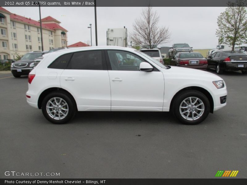 Ibis White / Black 2012 Audi Q5 2.0 TFSI quattro