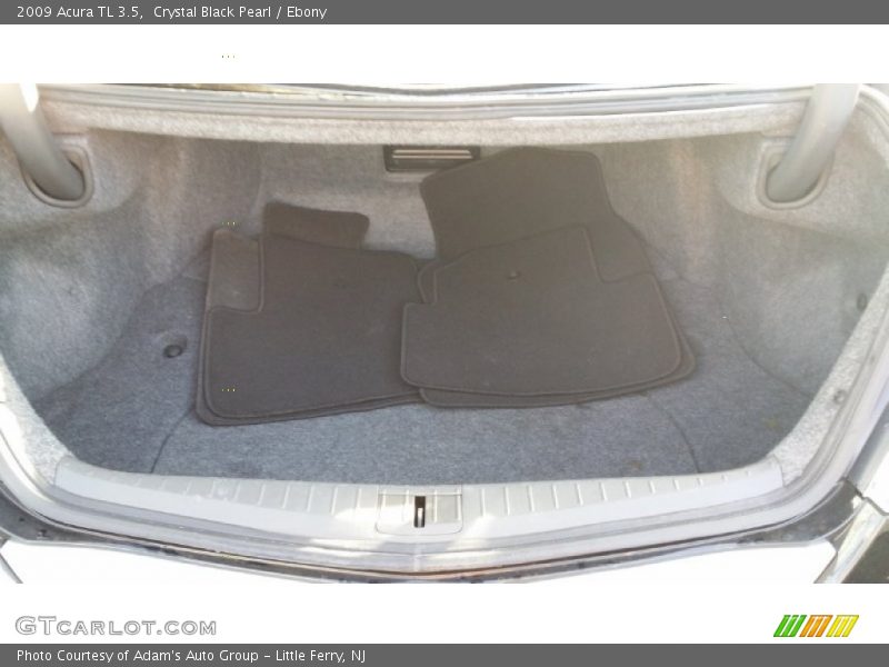 Crystal Black Pearl / Ebony 2009 Acura TL 3.5