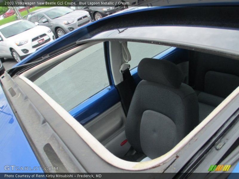Blue Lagoon Metallic / Cream 2003 Volkswagen New Beetle GLS Coupe