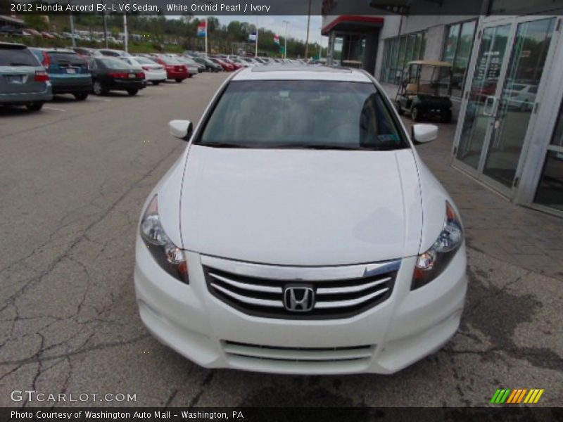 White Orchid Pearl / Ivory 2012 Honda Accord EX-L V6 Sedan