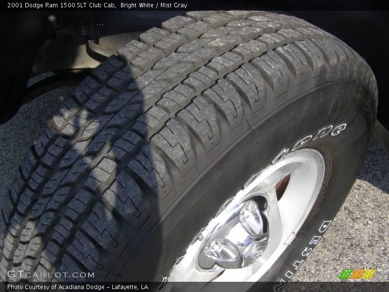 Bright White / Mist Gray 2001 Dodge Ram 1500 SLT Club Cab