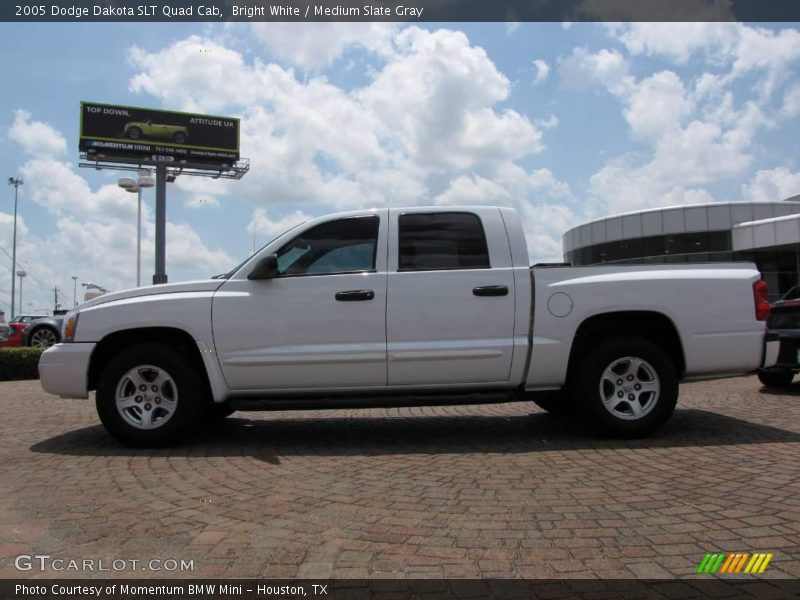 Bright White / Medium Slate Gray 2005 Dodge Dakota SLT Quad Cab