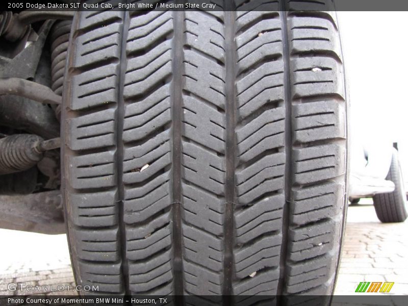 Bright White / Medium Slate Gray 2005 Dodge Dakota SLT Quad Cab