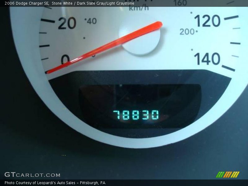 Stone White / Dark Slate Gray/Light Graystone 2006 Dodge Charger SE