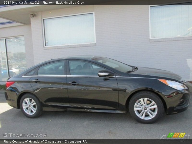 Phantom Black Metallic / Gray 2014 Hyundai Sonata GLS