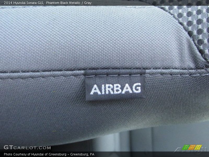 Phantom Black Metallic / Gray 2014 Hyundai Sonata GLS
