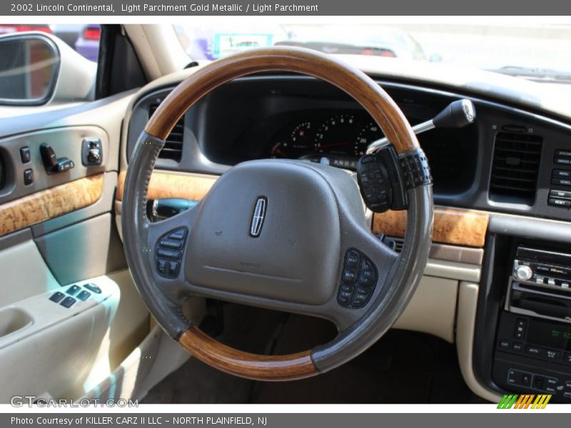 Light Parchment Gold Metallic / Light Parchment 2002 Lincoln Continental