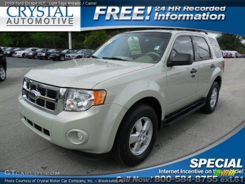 Light Sage Metallic / Camel 2009 Ford Escape XLT