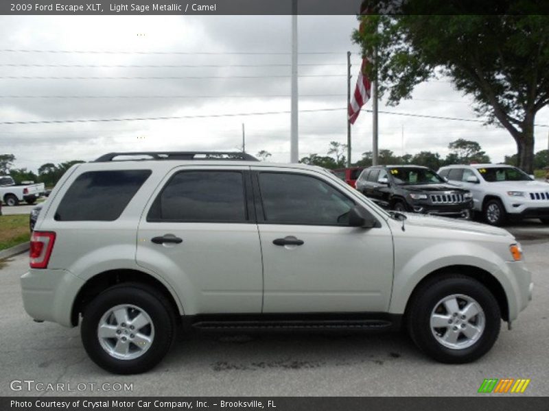 Light Sage Metallic / Camel 2009 Ford Escape XLT