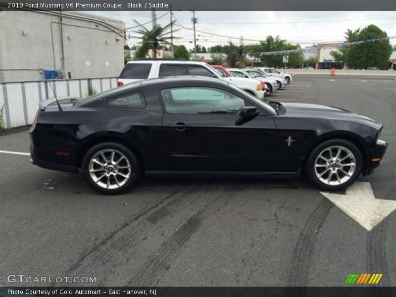 Black / Saddle 2010 Ford Mustang V6 Premium Coupe