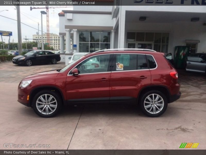 Wild Cherry Metallic / Charcoal 2011 Volkswagen Tiguan SE