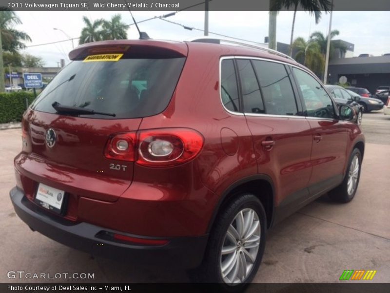 Wild Cherry Metallic / Charcoal 2011 Volkswagen Tiguan SE