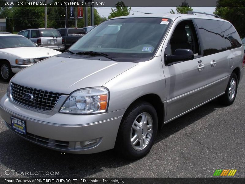 Silver Birch Metallic / Flint Grey 2006 Ford Freestar SEL