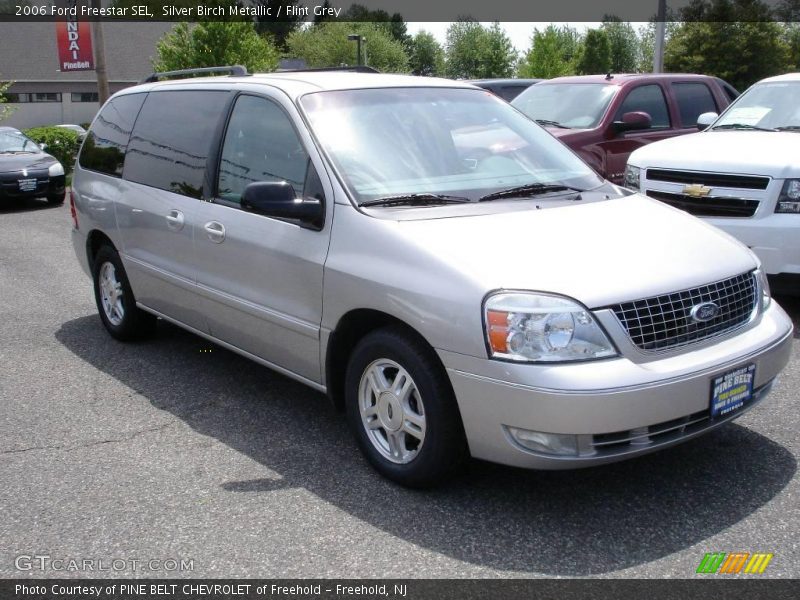 Silver Birch Metallic / Flint Grey 2006 Ford Freestar SEL