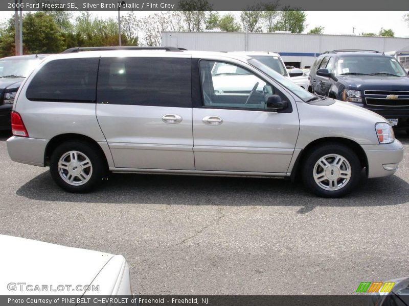 Silver Birch Metallic / Flint Grey 2006 Ford Freestar SEL