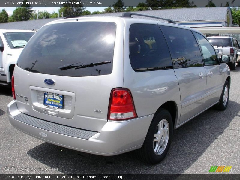 Silver Birch Metallic / Flint Grey 2006 Ford Freestar SEL