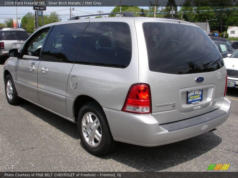 Silver Birch Metallic / Flint Grey 2006 Ford Freestar SEL