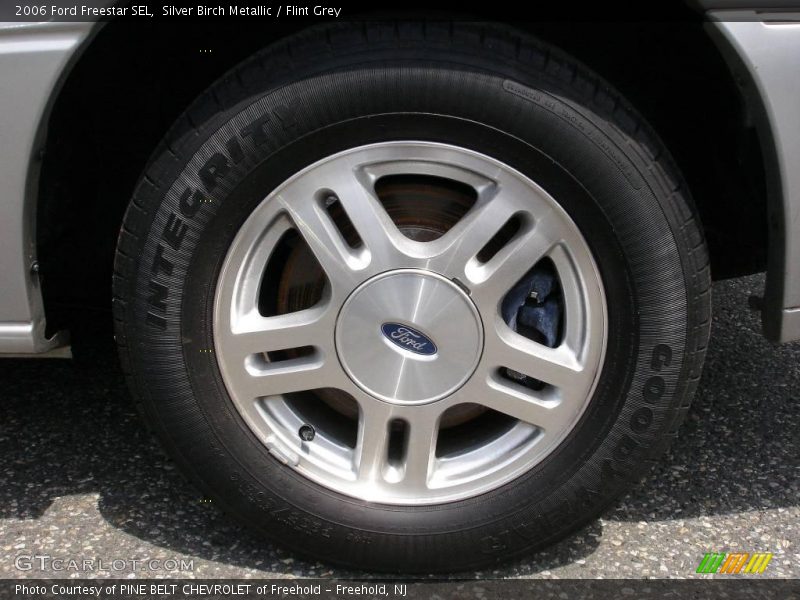 Silver Birch Metallic / Flint Grey 2006 Ford Freestar SEL