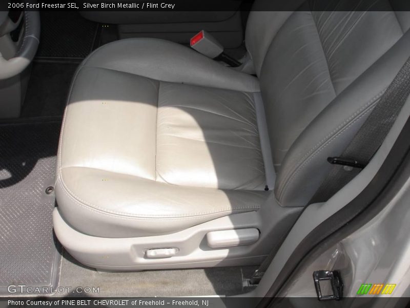 Silver Birch Metallic / Flint Grey 2006 Ford Freestar SEL