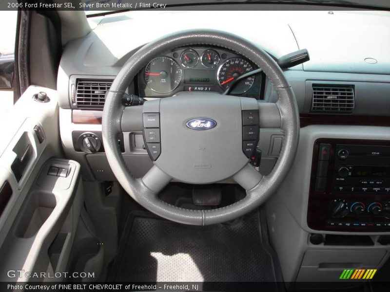 Silver Birch Metallic / Flint Grey 2006 Ford Freestar SEL