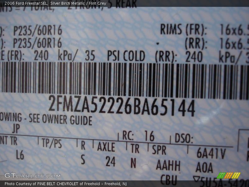 Silver Birch Metallic / Flint Grey 2006 Ford Freestar SEL