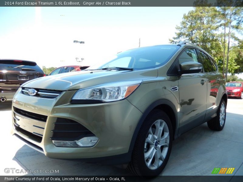 Ginger Ale / Charcoal Black 2014 Ford Escape Titanium 1.6L EcoBoost