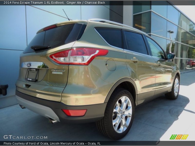 Ginger Ale / Charcoal Black 2014 Ford Escape Titanium 1.6L EcoBoost