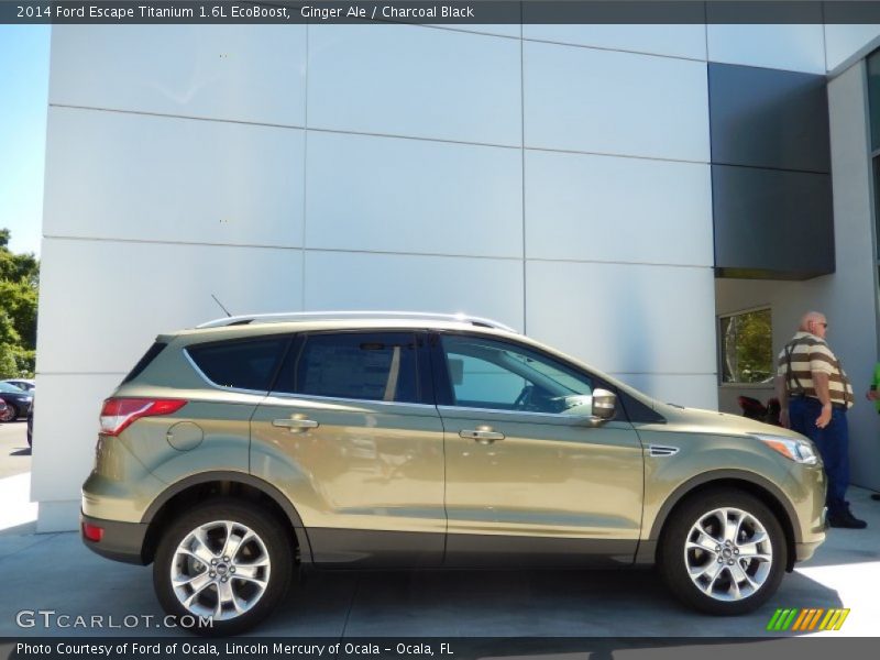 Ginger Ale / Charcoal Black 2014 Ford Escape Titanium 1.6L EcoBoost