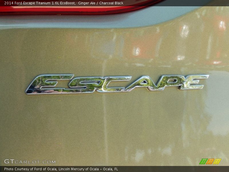 Ginger Ale / Charcoal Black 2014 Ford Escape Titanium 1.6L EcoBoost