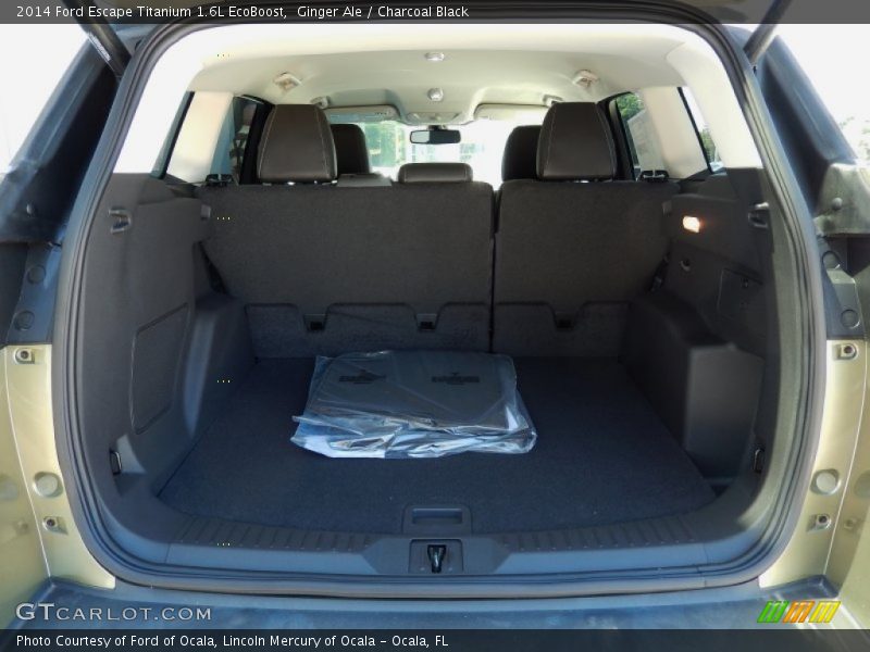 Ginger Ale / Charcoal Black 2014 Ford Escape Titanium 1.6L EcoBoost