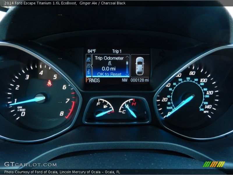 Ginger Ale / Charcoal Black 2014 Ford Escape Titanium 1.6L EcoBoost