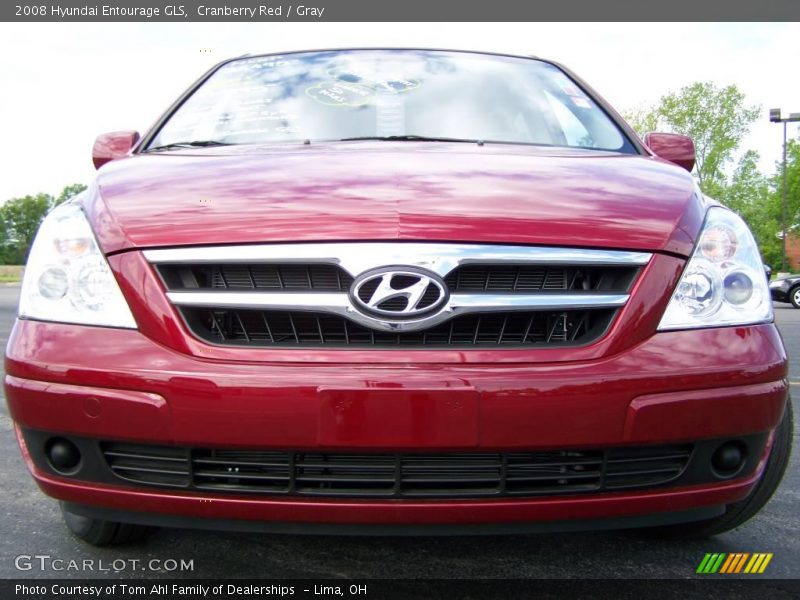 Cranberry Red / Gray 2008 Hyundai Entourage GLS